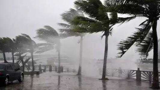 8月臺(tái)風(fēng)雨即將來(lái)，除濕機(jī)還得用起來(lái)