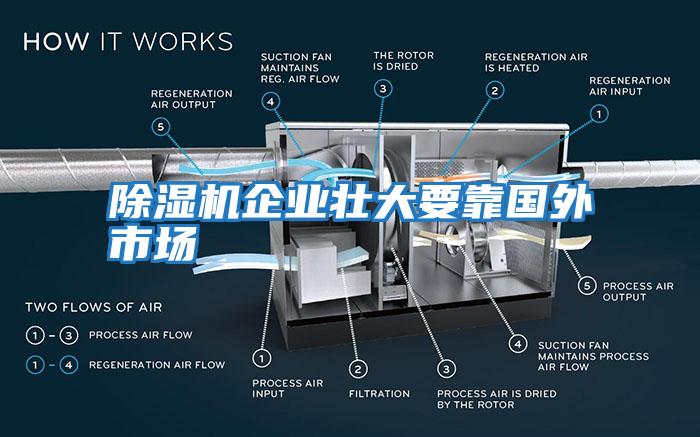 除濕機(jī)企業(yè)壯大要靠國(guó)外市場(chǎng)