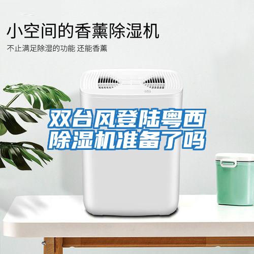 雙臺風(fēng)登陸粵西除濕機準(zhǔn)備了嗎