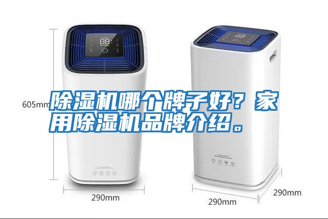 除濕機哪個牌子好？家用除濕機品牌介紹。