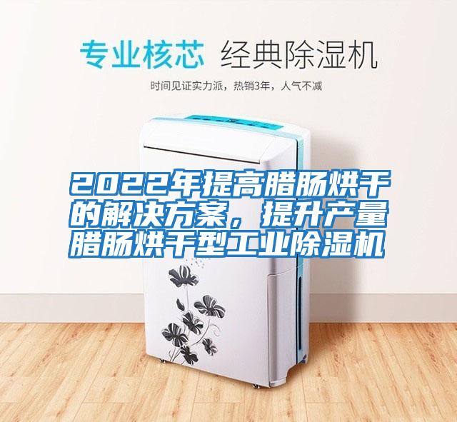 2022年提高臘腸烘干的解決方案，提升產(chǎn)量臘腸烘干型工業(yè)除濕機