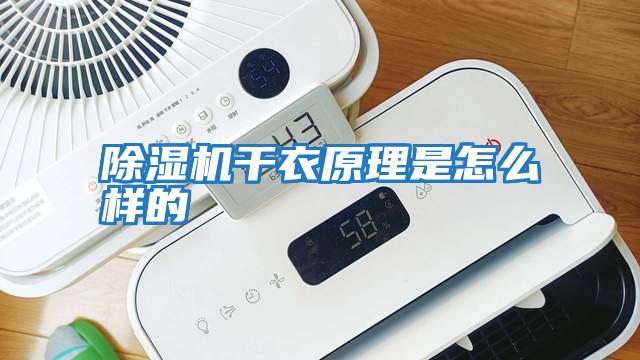 除濕機干衣原理是怎么樣的