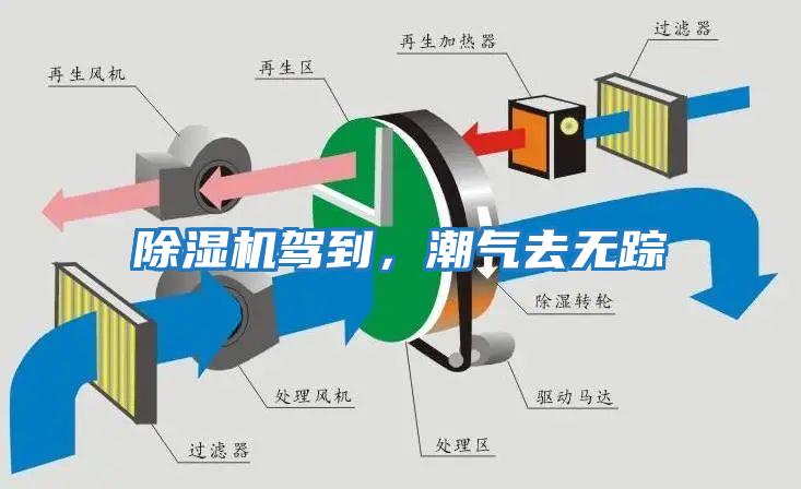 除濕機駕到，潮氣去無蹤