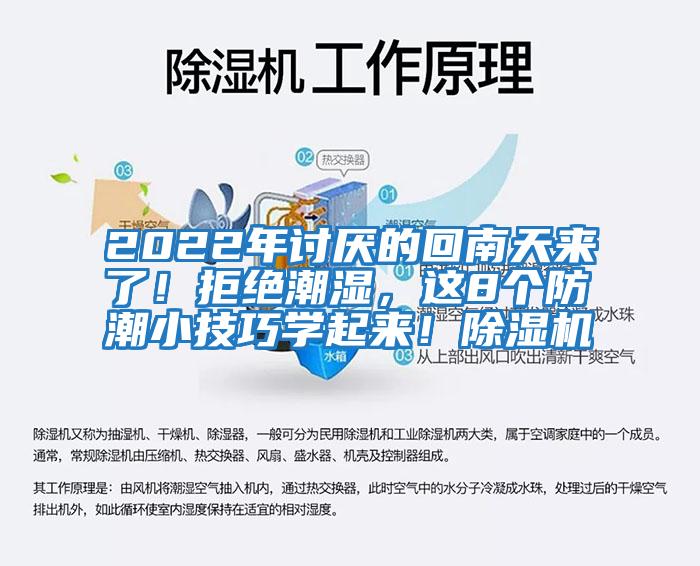 2022年討厭的回南天來了！拒絕潮濕，這8個防潮小技巧學(xué)起來！除濕機(jī)