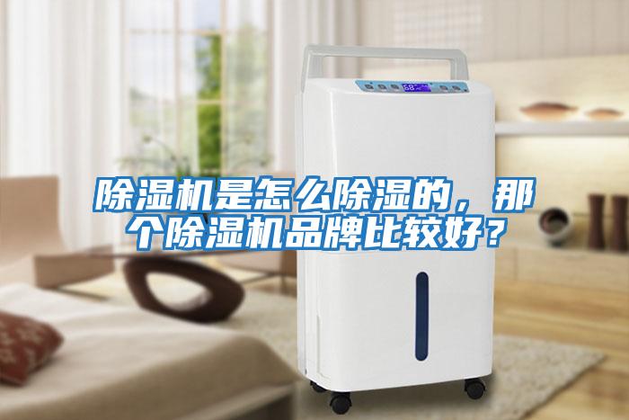 除濕機(jī)是怎么除濕的，那個(gè)除濕機(jī)品牌比較好？