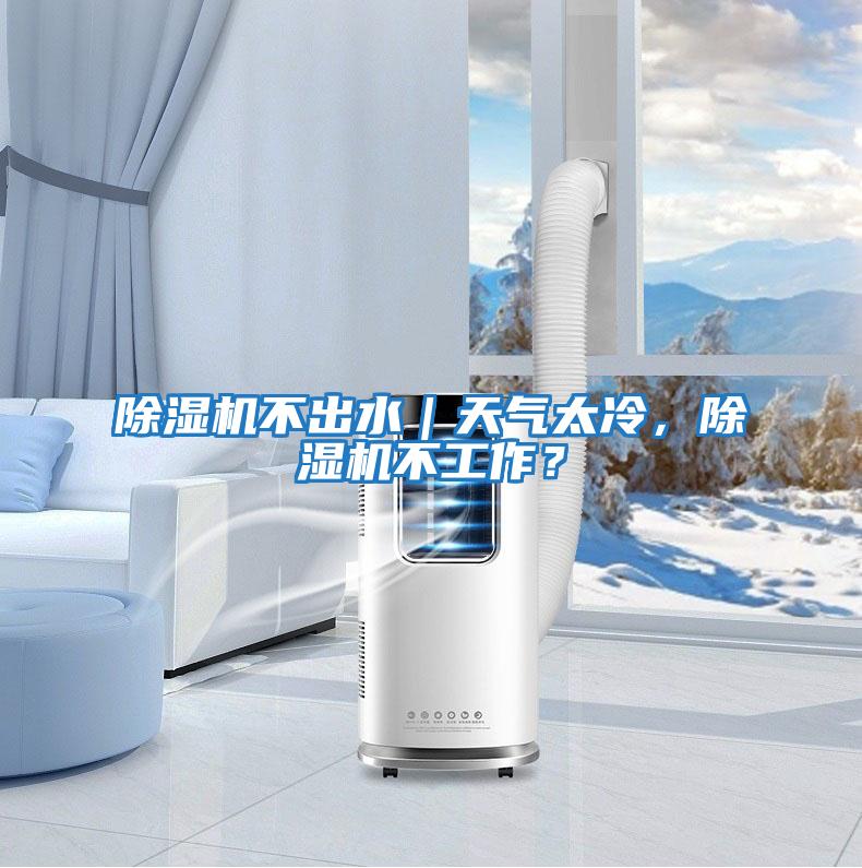 除濕機不出水｜天氣太冷，除濕機不工作？