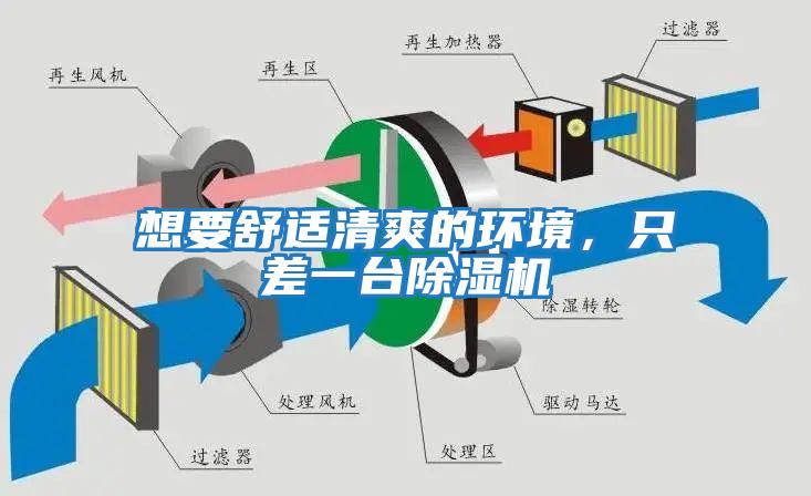 想要舒適清爽的環(huán)境，只差一臺除濕機(jī)