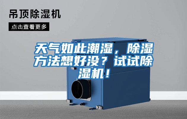 天氣如此潮濕，除濕方法想好沒？試試除濕機！