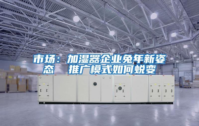 市場：加濕器企業(yè)兔年新姿態(tài)  推廣模式如何蛻變