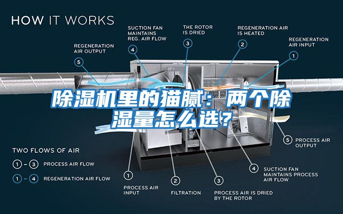 除濕機里的貓膩：兩個除濕量怎么選？