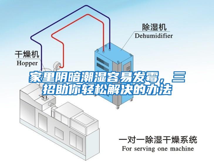 家里陰暗潮濕容易發(fā)霉，三招助你輕松解決的辦法