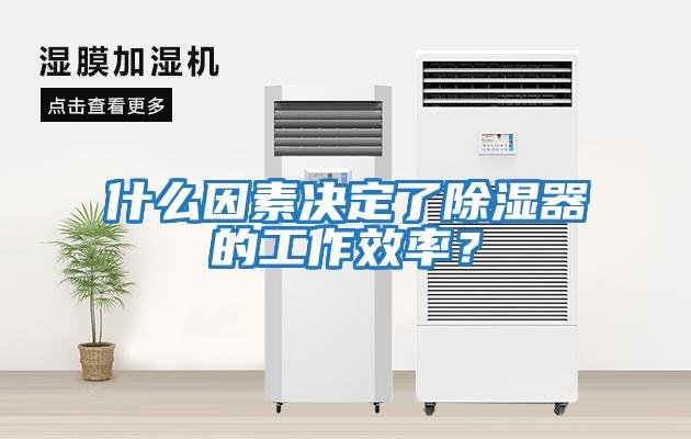 什么因素決定了除濕器的工作效率？