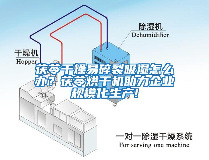 茯苓干燥易碎裂吸濕怎么辦？茯苓烘干機(jī)助力企業(yè)規(guī)?；a(chǎn)!