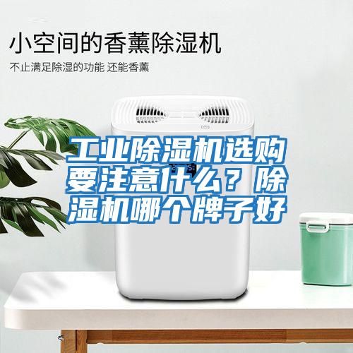 工業(yè)除濕機(jī)選購(gòu)要注意什么？除濕機(jī)哪個(gè)牌子好