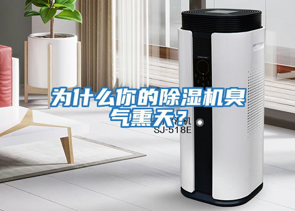 為什么你的除濕機(jī)臭氣熏天？