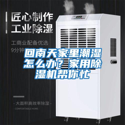 回南天家里潮濕怎么辦？家用除濕機幫你忙