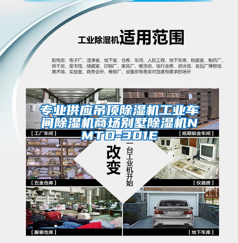 專業(yè)供應吊頂除濕機工業(yè)車間除濕機商場別墅除濕機NMTD-301E