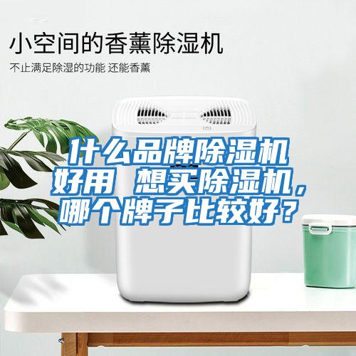 什么品牌除濕機(jī)好用 想買除濕機(jī)，哪個牌子比較好？