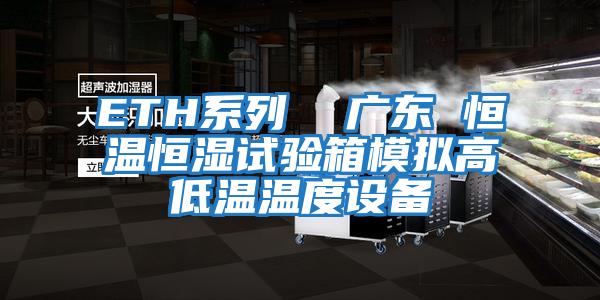 ETH系列  廣東 恒溫恒濕試驗箱模擬高低溫溫度設備