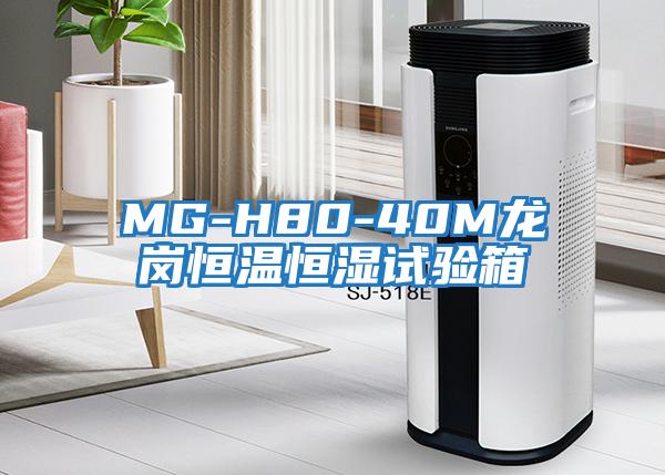 MG-H80-40M龍崗恒溫恒濕試驗箱