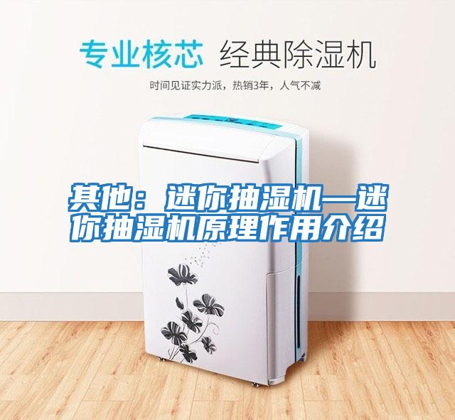 其他：迷你抽濕機—迷你抽濕機原理作用介紹