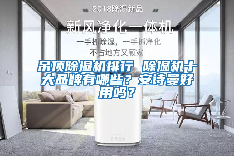 吊頂除濕機排行 除濕機十大品牌有哪些？安詩曼好用嗎？