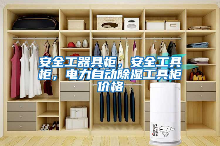 安全工器具柜，安全工具柜，電力自動除濕工具柜價格