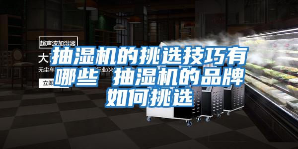 抽濕機的挑選技巧有哪些 抽濕機的品牌如何挑選