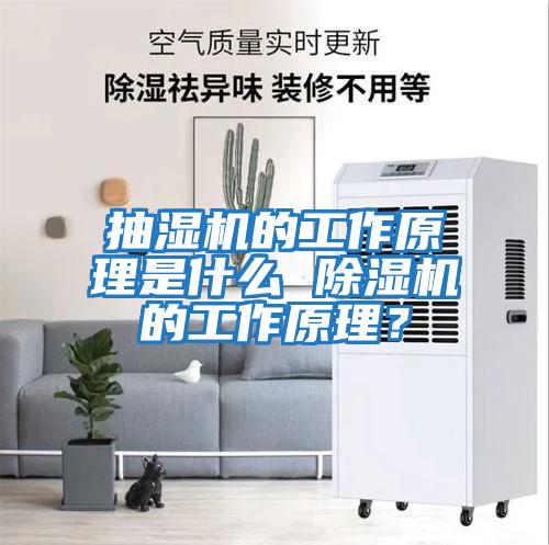 抽濕機的工作原理是什么 除濕機的工作原理？