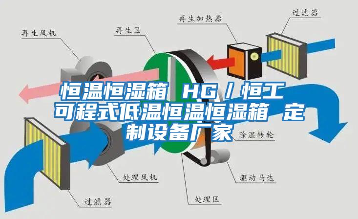 恒溫恒濕箱 HG／恒工 可程式低溫恒溫恒濕箱 定制設備廠家