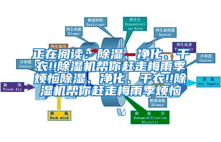 正在閱讀：除濕、凈化、干衣!!除濕機幫你趕走梅雨季煩惱除濕、凈化、干衣!!除濕機幫你趕走梅雨季煩惱