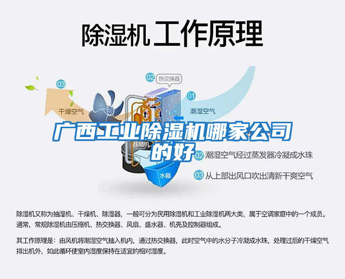 廣西工業(yè)除濕機哪家公司的好