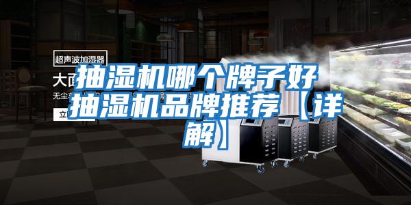 抽濕機哪個牌子好 抽濕機品牌推薦【詳解】