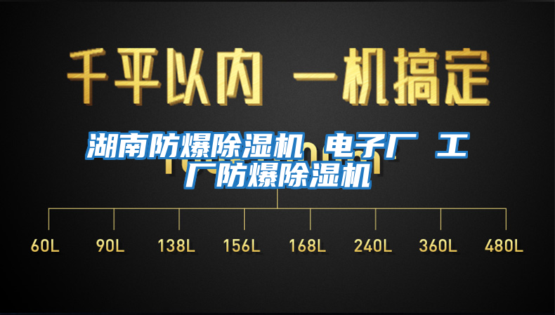 湖南防爆除濕機 電子廠 工廠防爆除濕機