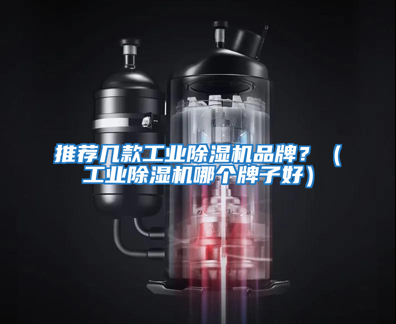 推薦幾款工業(yè)除濕機(jī)品牌？（工業(yè)除濕機(jī)哪個(gè)牌子好）