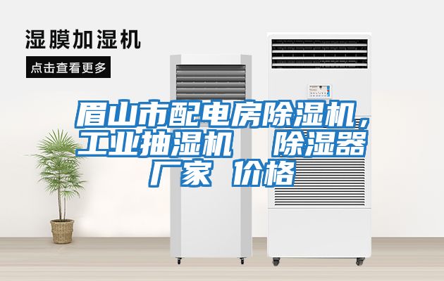 眉山市配電房除濕機(jī)，工業(yè)抽濕機(jī)  除濕器廠家 價(jià)格