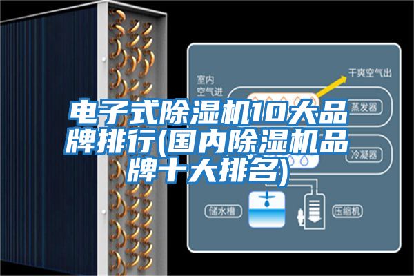 電子式除濕機10大品牌排行(國內除濕機品牌十大排名)