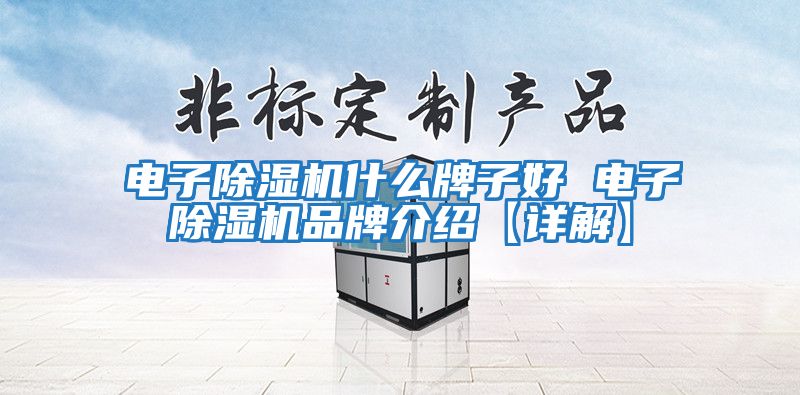 電子除濕機什么牌子好 電子除濕機品牌介紹【詳解】