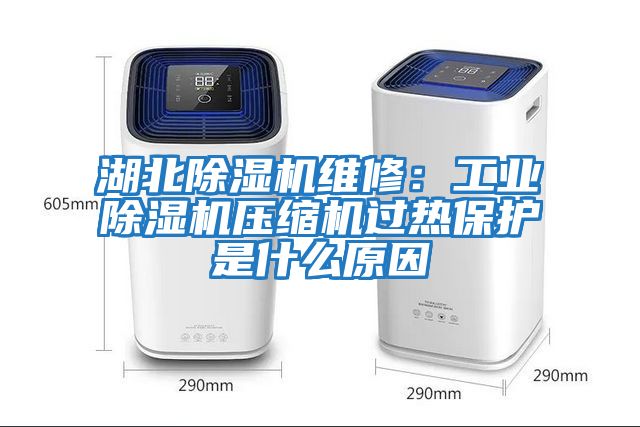 湖北除濕機維修：工業(yè)除濕機壓縮機過熱保護是什么原因