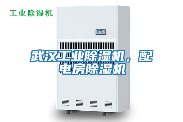 武漢工業(yè)除濕機(jī)，配電房除濕機(jī)