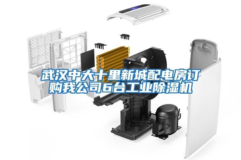 武漢中大十里新城配電房訂購我公司6臺(tái)工業(yè)除濕機(jī)