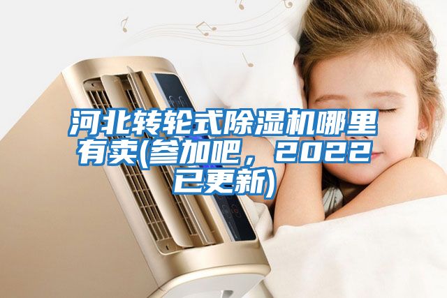 河北轉(zhuǎn)輪式除濕機(jī)哪里有賣(參加吧，2022已更新)