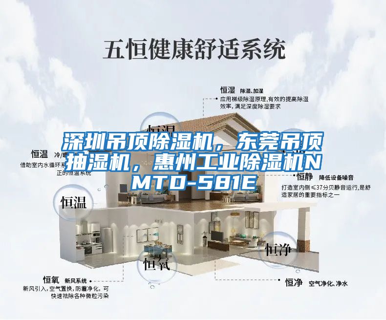 深圳吊頂除濕機，東莞吊頂抽濕機，惠州工業(yè)除濕機NMTD-581E