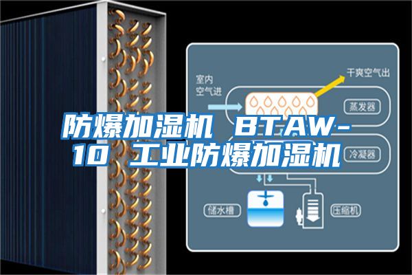 防爆加濕機 BTAW-10 工業(yè)防爆加濕機