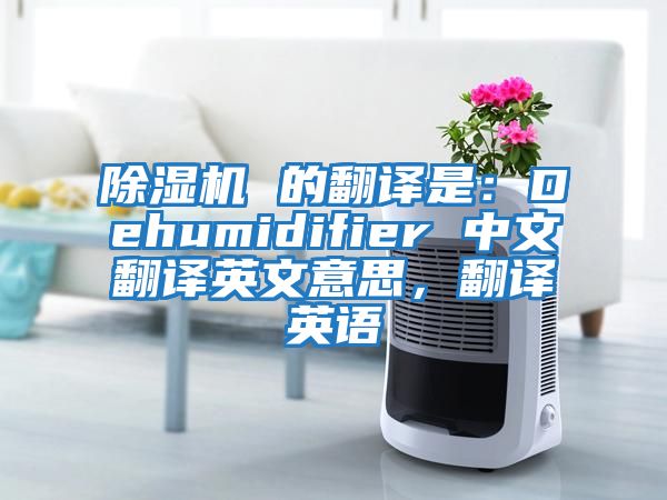 除濕機(jī) 的翻譯是：Dehumidifier 中文翻譯英文意思，翻譯英語