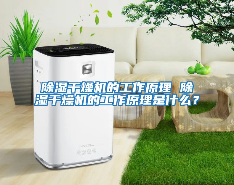 除濕干燥機的工作原理 除濕干燥機的工作原理是什么？