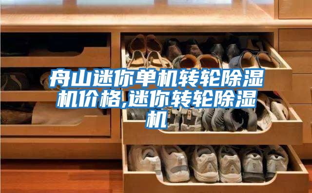 舟山迷你單機轉輪除濕機價格,迷你轉輪除濕機