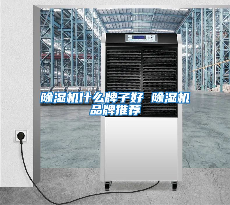 除濕機什么牌子好 除濕機品牌推薦