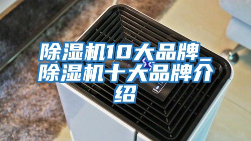 除濕機(jī)10大品牌_除濕機(jī)十大品牌介紹