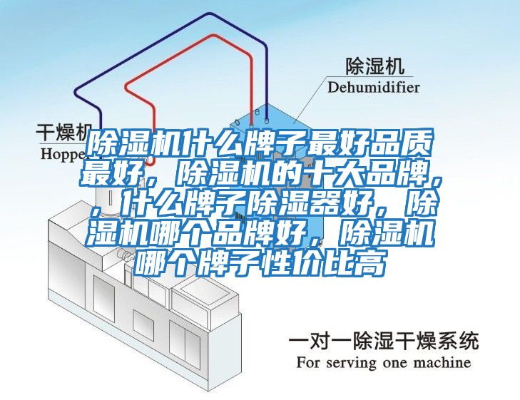 除濕機什么牌子最好品質(zhì)最好，除濕機的十大品牌，，什么牌子除濕器好，除濕機哪個品牌好，除濕機哪個牌子性價比高